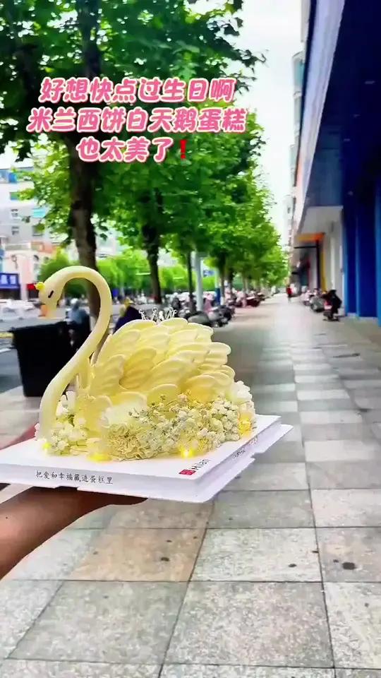 这也太好看了吧米兰西饼蛋糕生日蛋糕