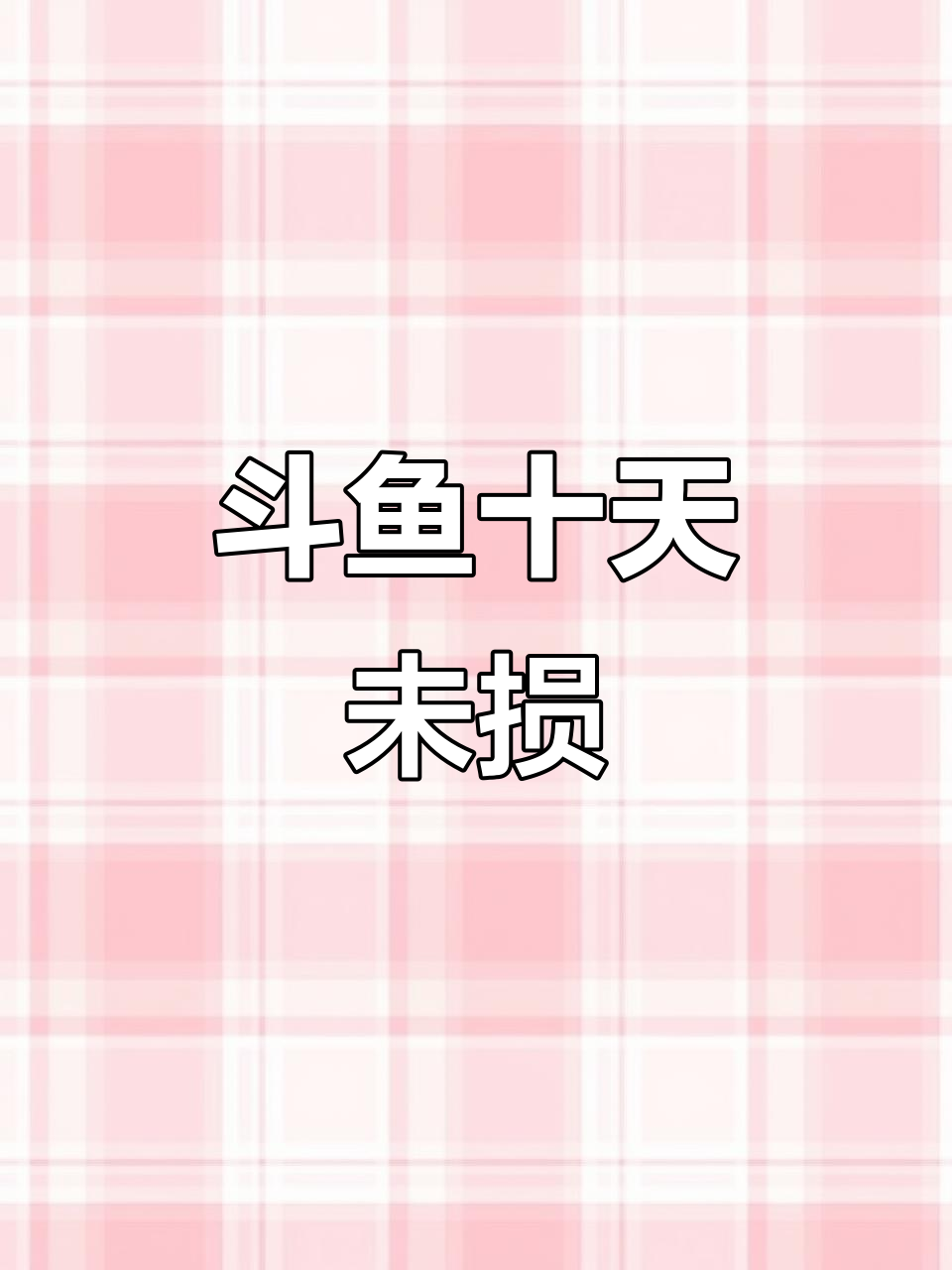 十来天奔波,斗鱼居然没破损!这天气太神奇了