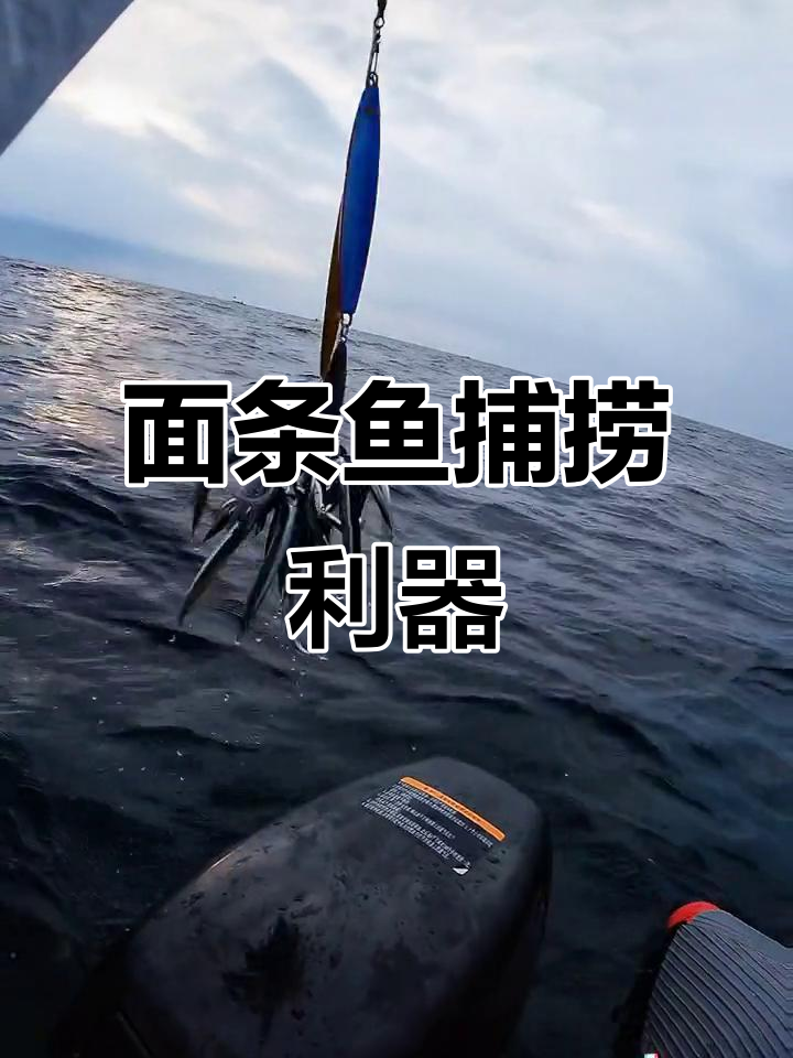 捕捉面条鱼必备神器,放流鲅鱼的秘密武器