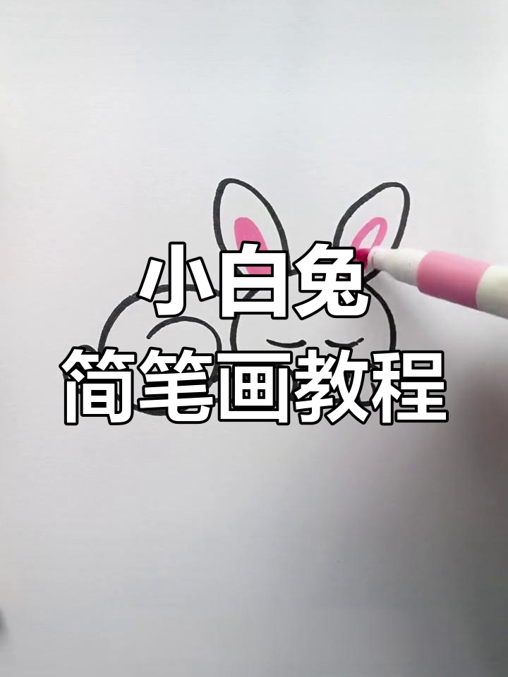 春天到,萌兔来袭!一起画可爱小白兔