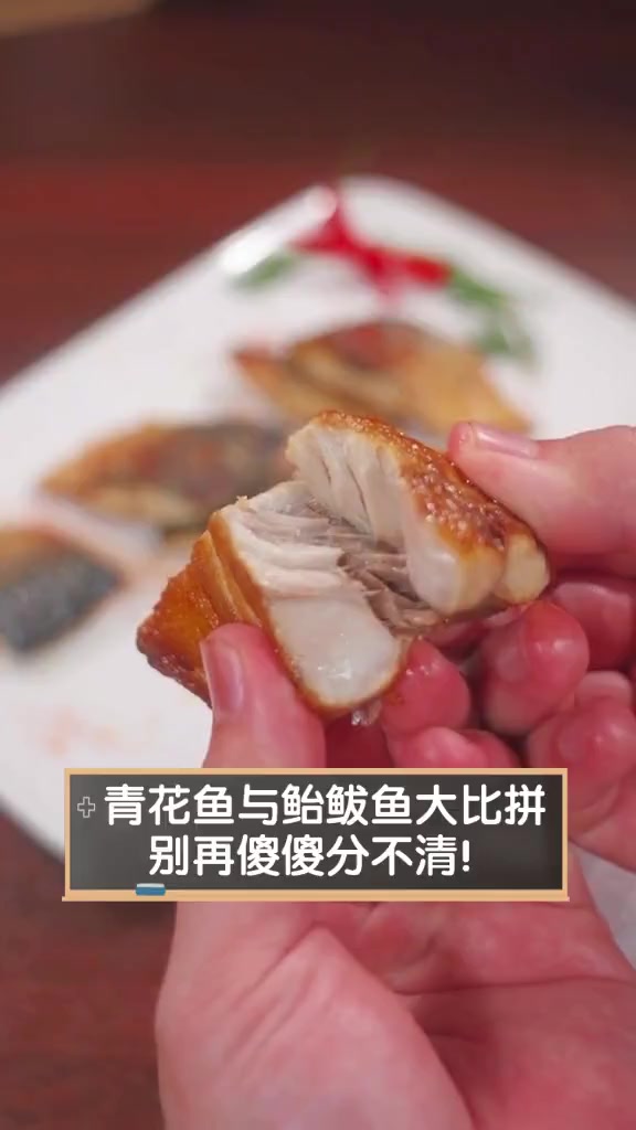 青花鱼与鲐鲅鱼大比拼,别再傻傻分不清!
