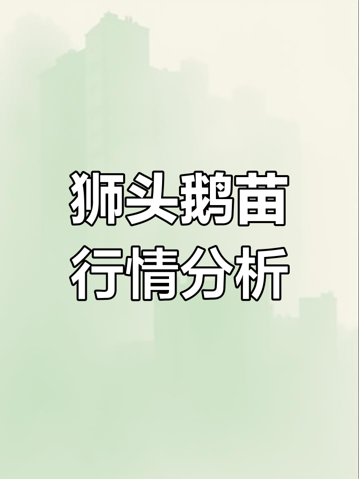 狮头鹅苗价格波动大,反季上市高峰来临