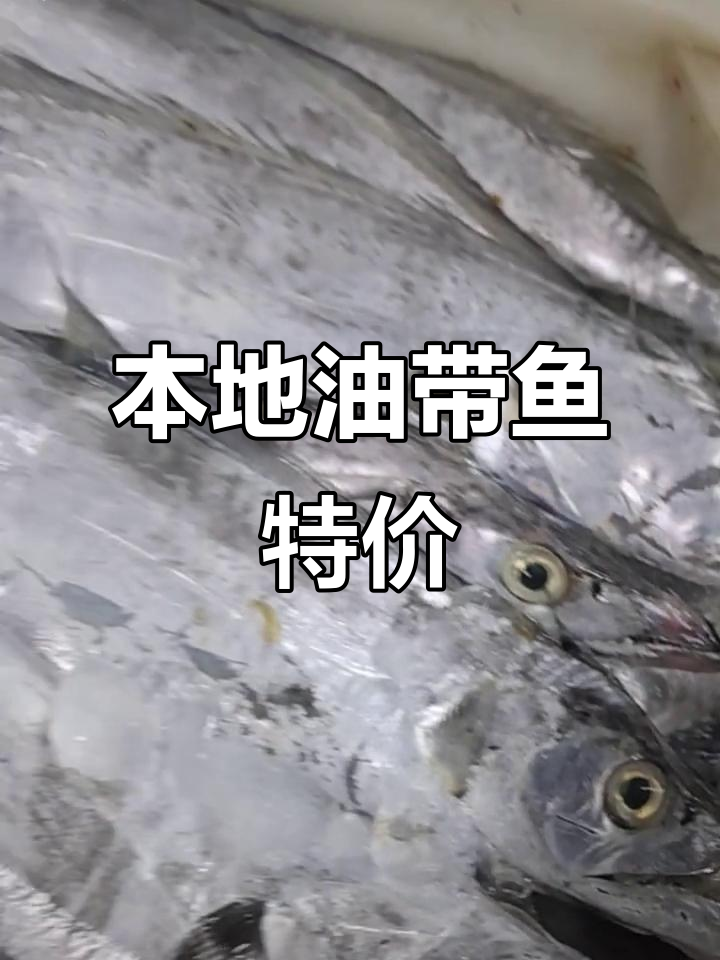 本地产油带鱼,新鲜又实惠!