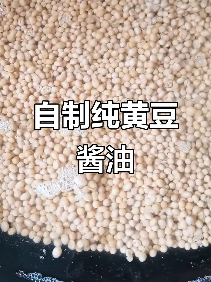 纯黄豆发酵酱油制作全过程,无添加剂的天然美味