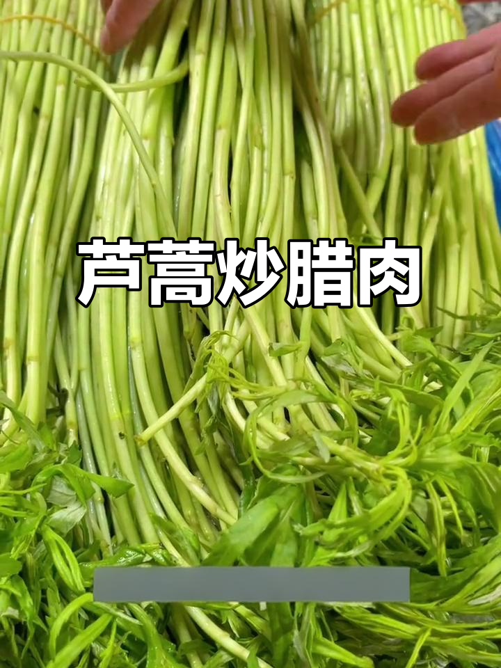 新鲜芦蒿炒腊肉,香气扑鼻!
