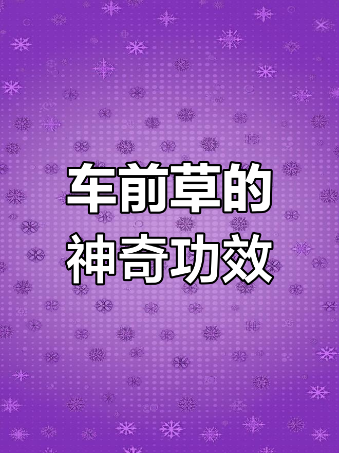 车前草蒸一蒸,营养价值高