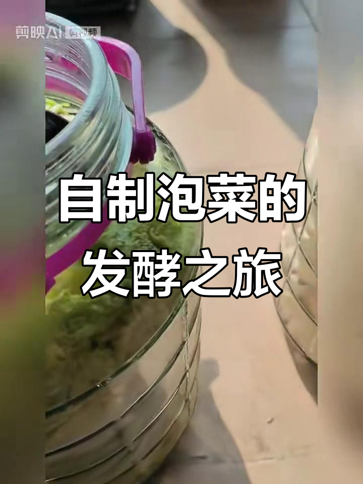 2025年1月21日初中生生物实验:泡菜发酵观察