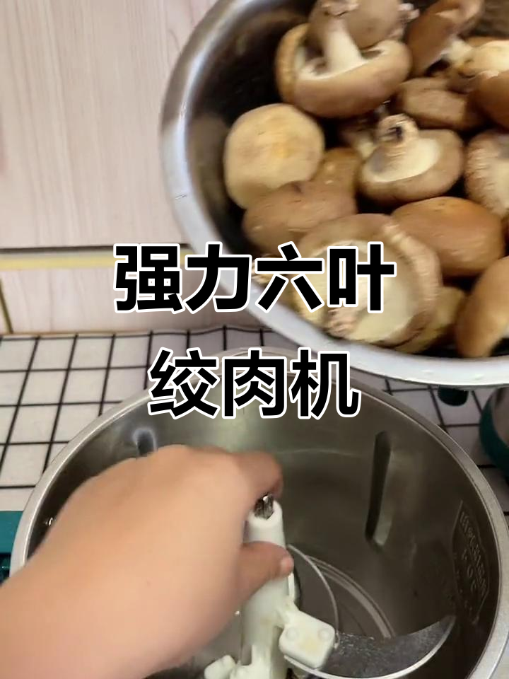 六叶刀片绞肉机,轻松打蘑菇馅料,电机强劲四升大容量