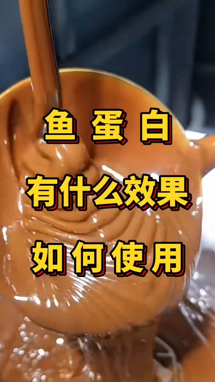 鱼蛋白有什么效果如何使用