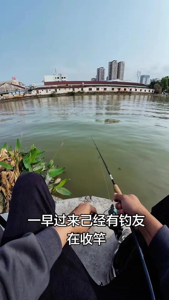 还好我来得早,不然鱼都被钓完。风筝钓组配合桑巴围裙针尾加尾钩#爱生活爱钓鱼 #路亚打龟 #