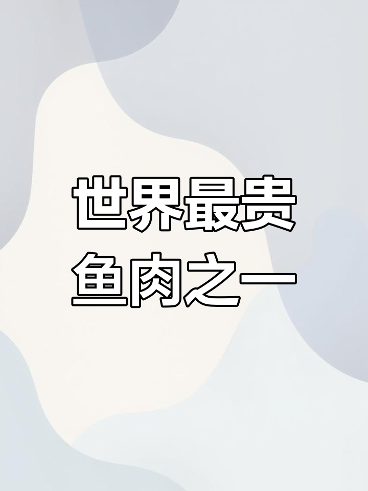 苏眉鱼:世界上最昂贵的深海美味,濒临灭绝的珍稀鱼类