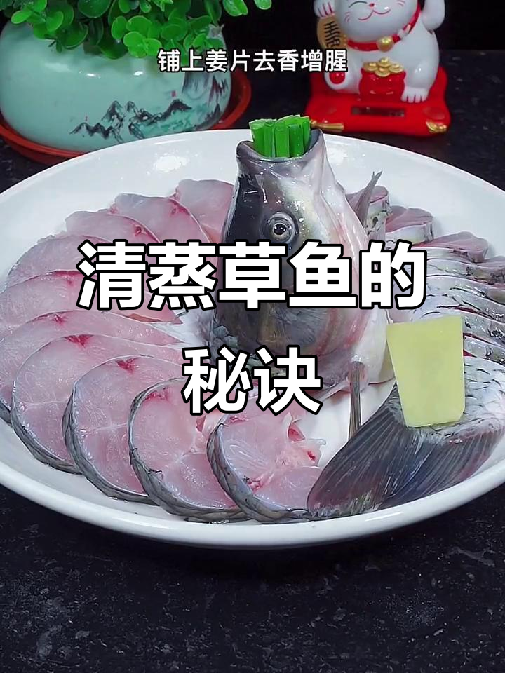 草鱼清蒸，鲜嫩不腥，家常美味轻松做！