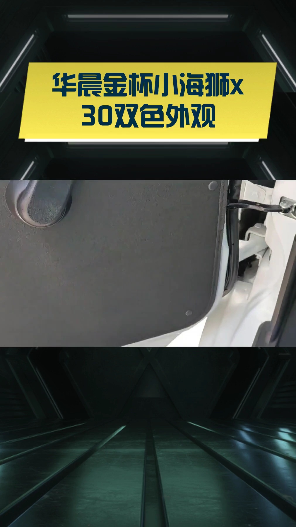 华晨金杯小海狮x30双色外观