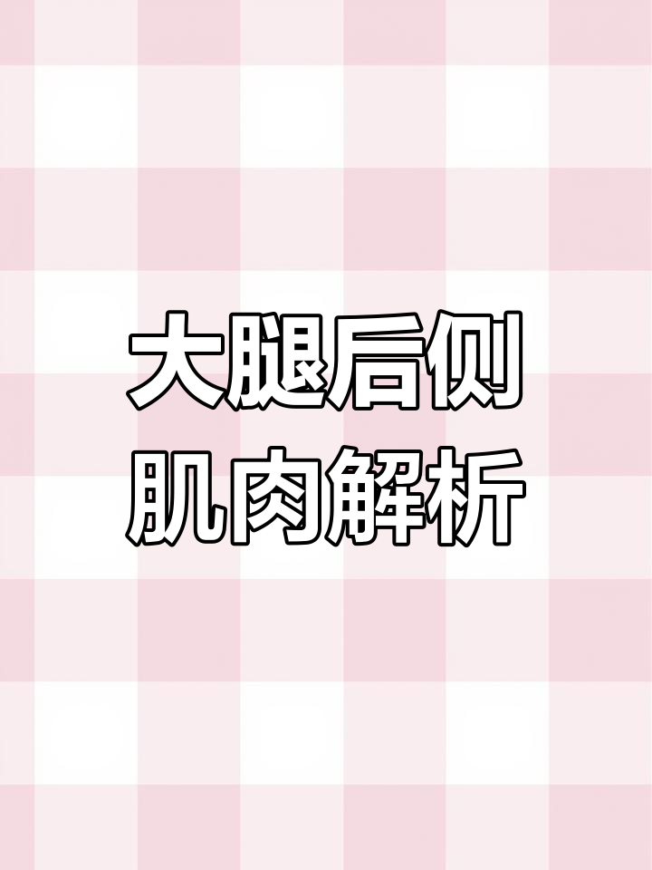 腘绳肌的功能与解剖结构