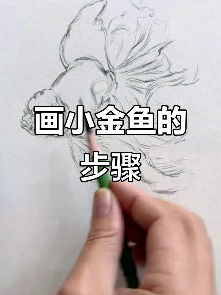 2025年5月12日小金鱼素描技巧全解析