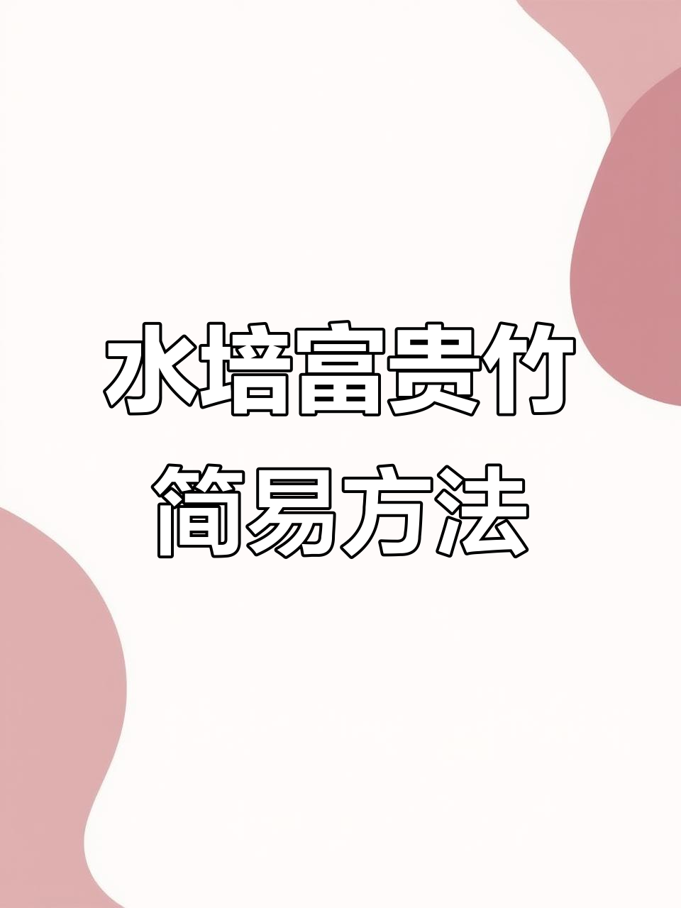 鱼缸水培富贵竹,简单步骤打造美观生态景观