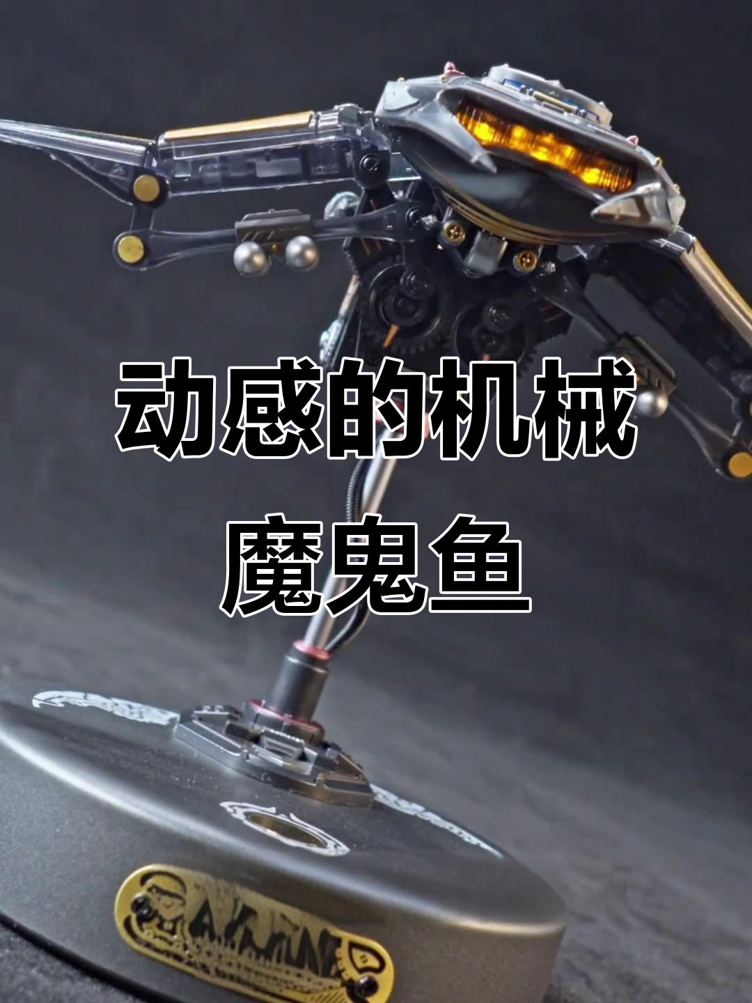 机械魔鬼鱼拼装模型，带你体验海洋生物的动感魅力