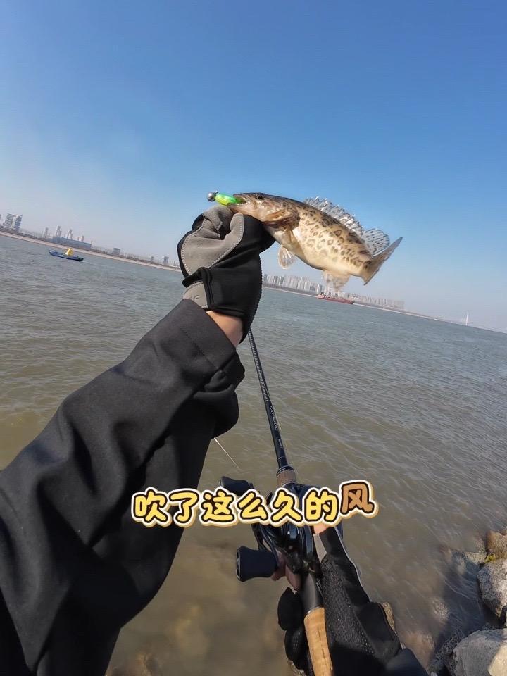 论冬天最给面子的还得是小斑鳜#冬天鳜鱼怎么钓 #创作者中心 #创作灵感 #抖音垂钓季 #户