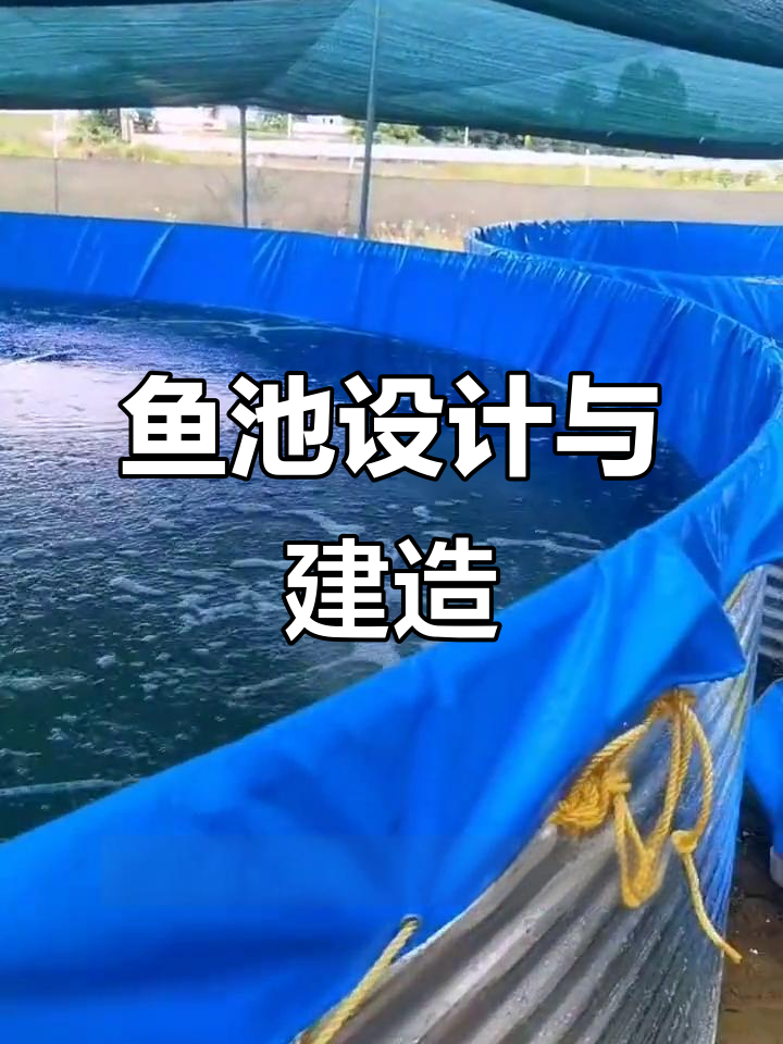 鱼池布局要点,排水排污要精心设计