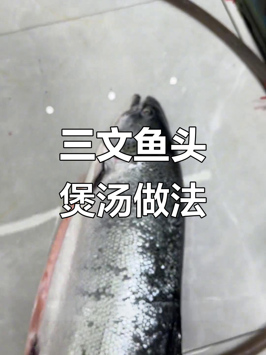 进口三文鱼头煲汤,教你如何做美味海鲜汤