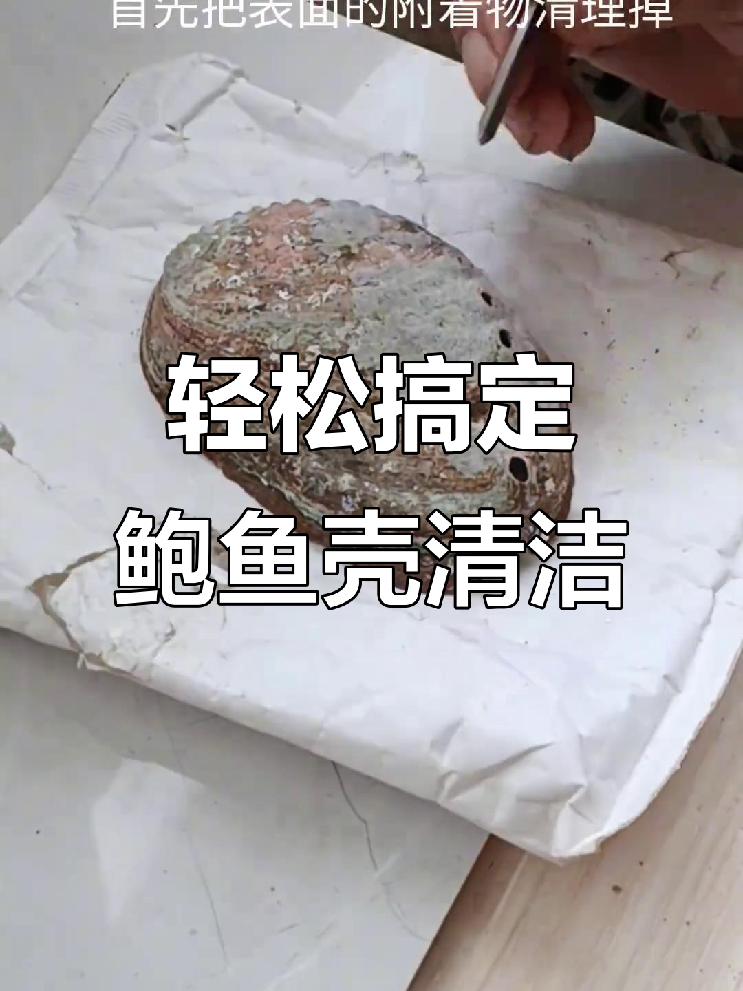 完美清理鲍鱼壳,步骤全解析