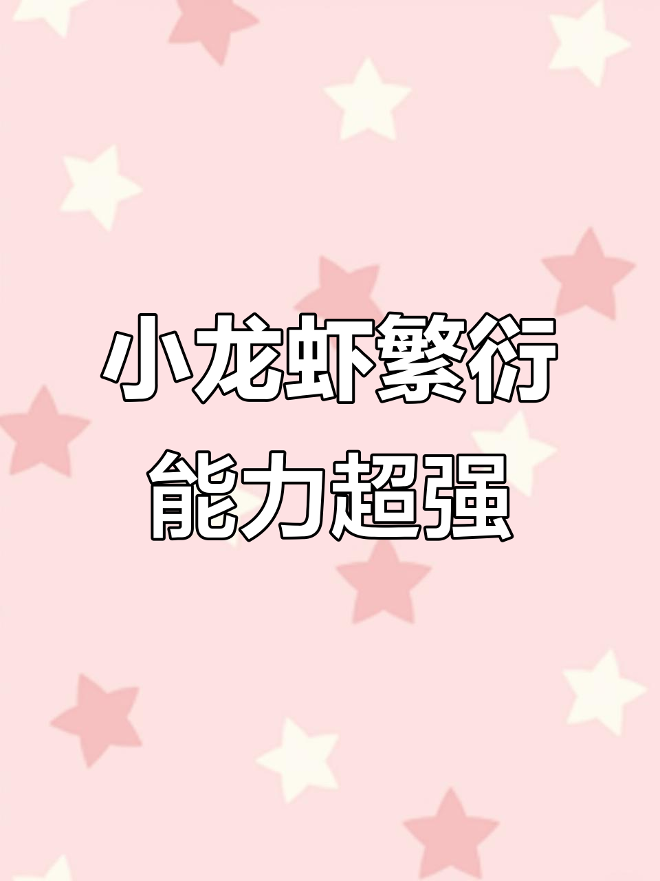 小龙虾一年繁殖一次,产卵量惊人