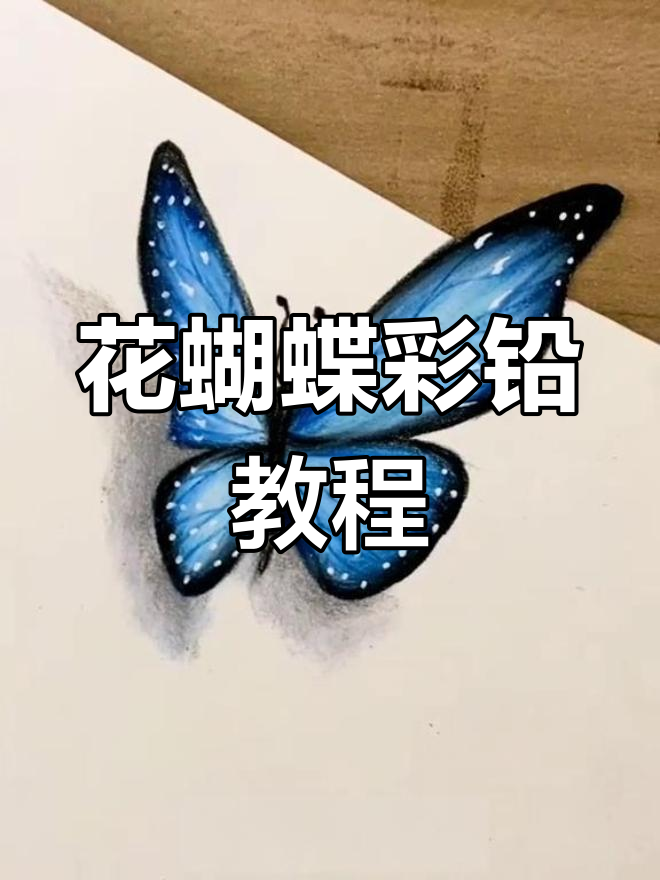 彩铅花蝴蝶立体画法,简单步骤教你画出栩栩如生的翅膀