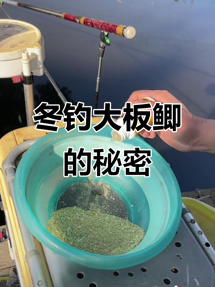 冬季钓鱼必备!千里香饵料让大板鲫轻松上钩
