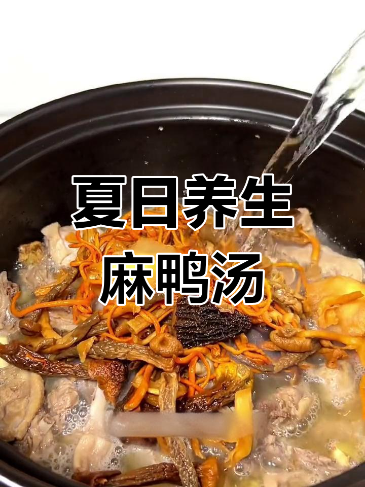 夏季滋补汤,麻鸭菌菇营养满分