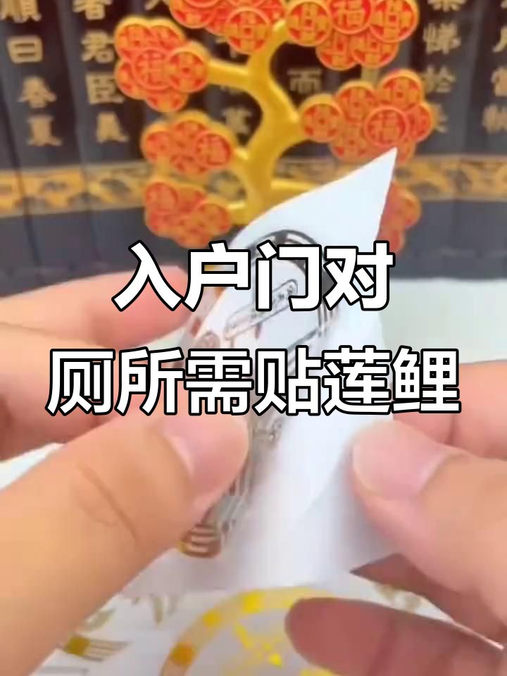 入门见厕所？快贴莲花鲤鱼图，好运连连！