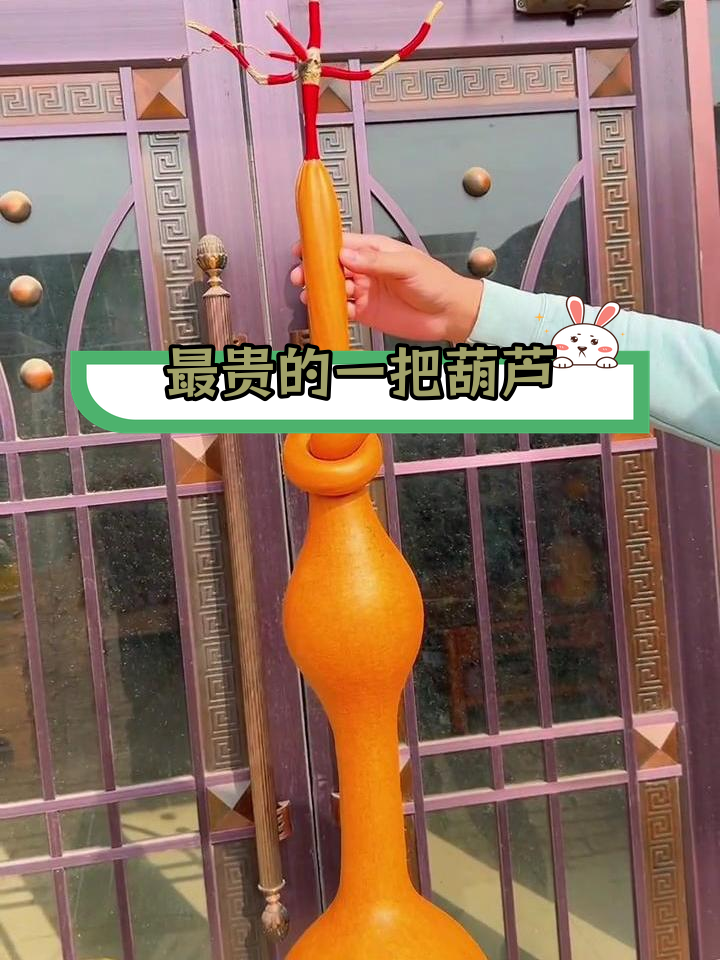 东北老葫芦的魅力与价值