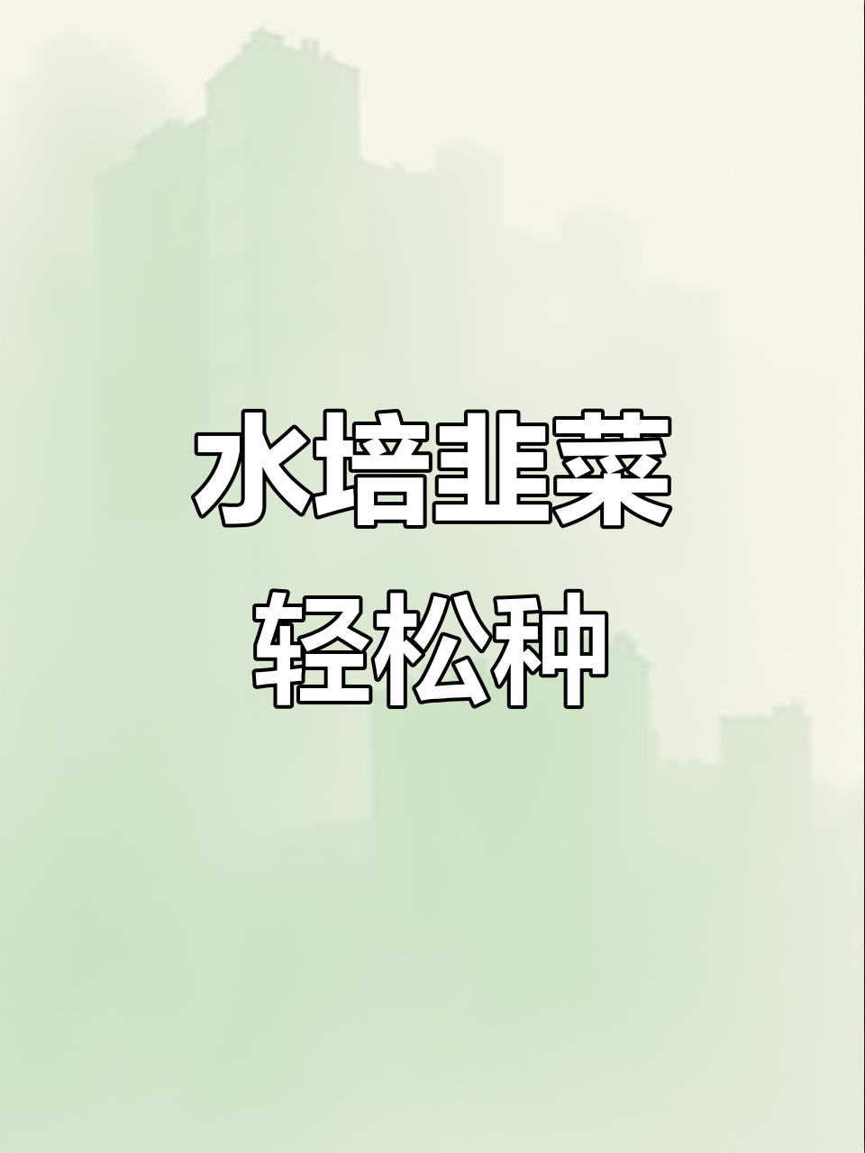 无土栽培水培韭菜,简单又高效