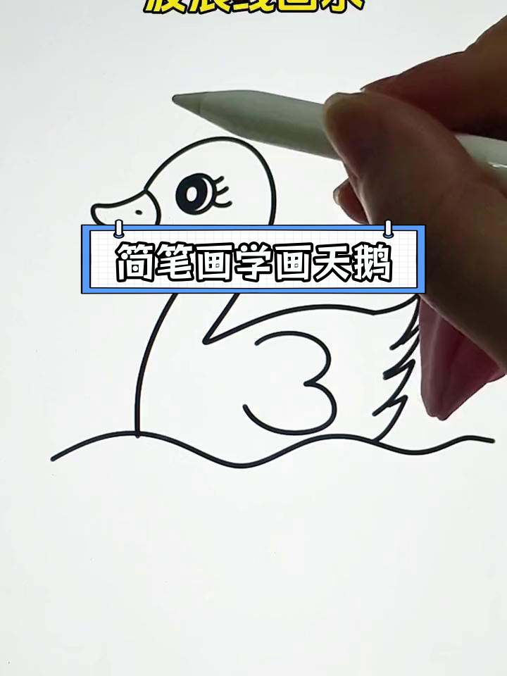 用数字画天鹅,简单又可爱
