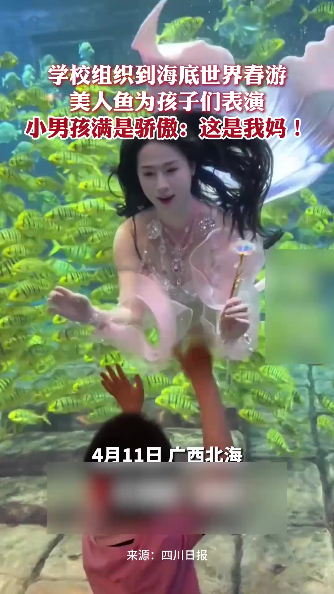 学校组织到海底世界春游,小男孩满是骄傲:我妈妈是美人鱼