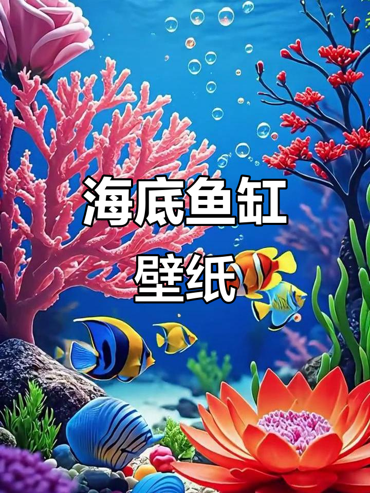 探索海底世界,鱼缸壁纸让你身临其境