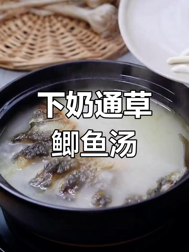 通草鲫鱼汤,快速下奶不油腻