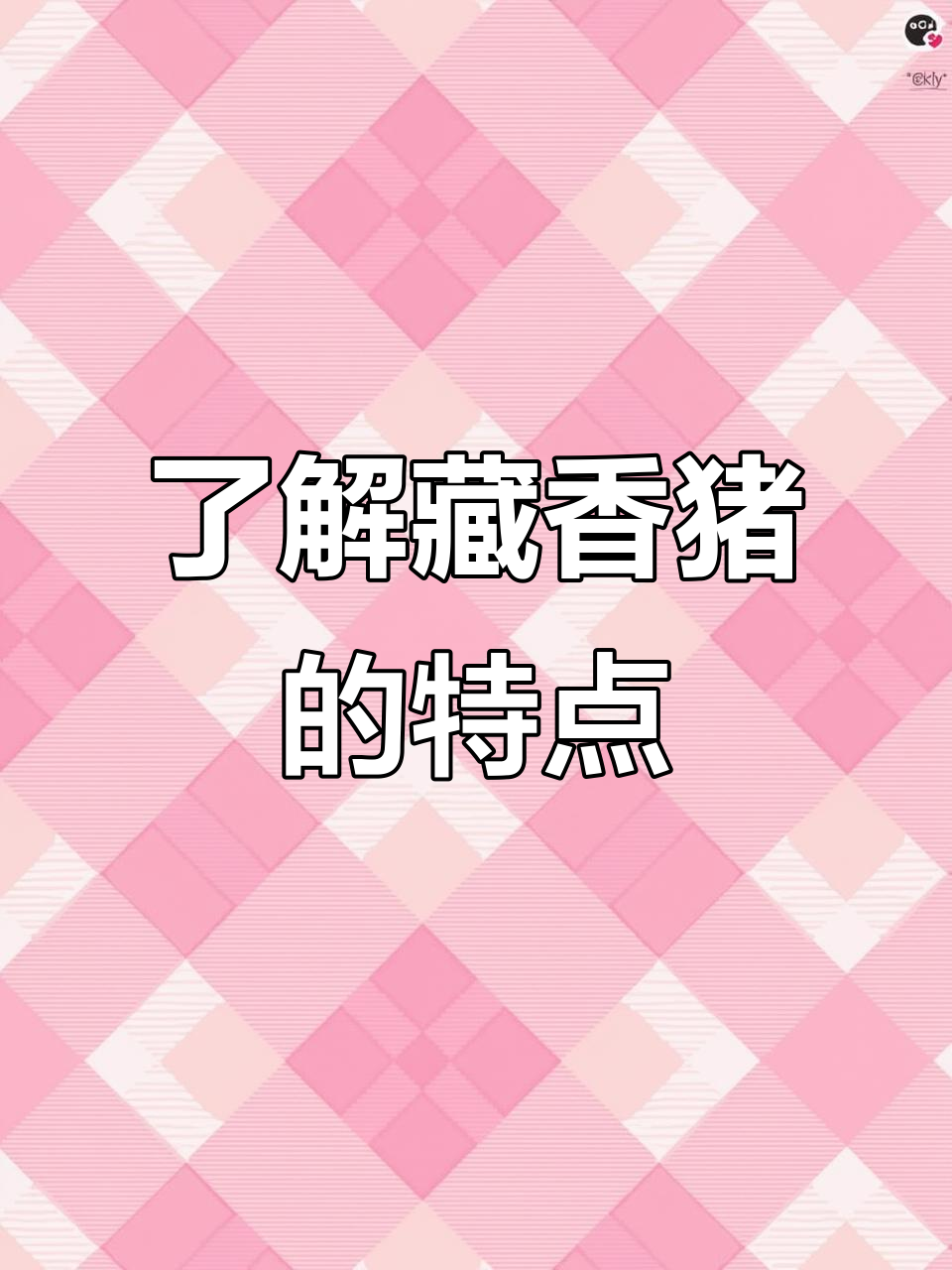 藏香猪:深山放牧的珍稀美味,肉质鲜嫩无油腻感