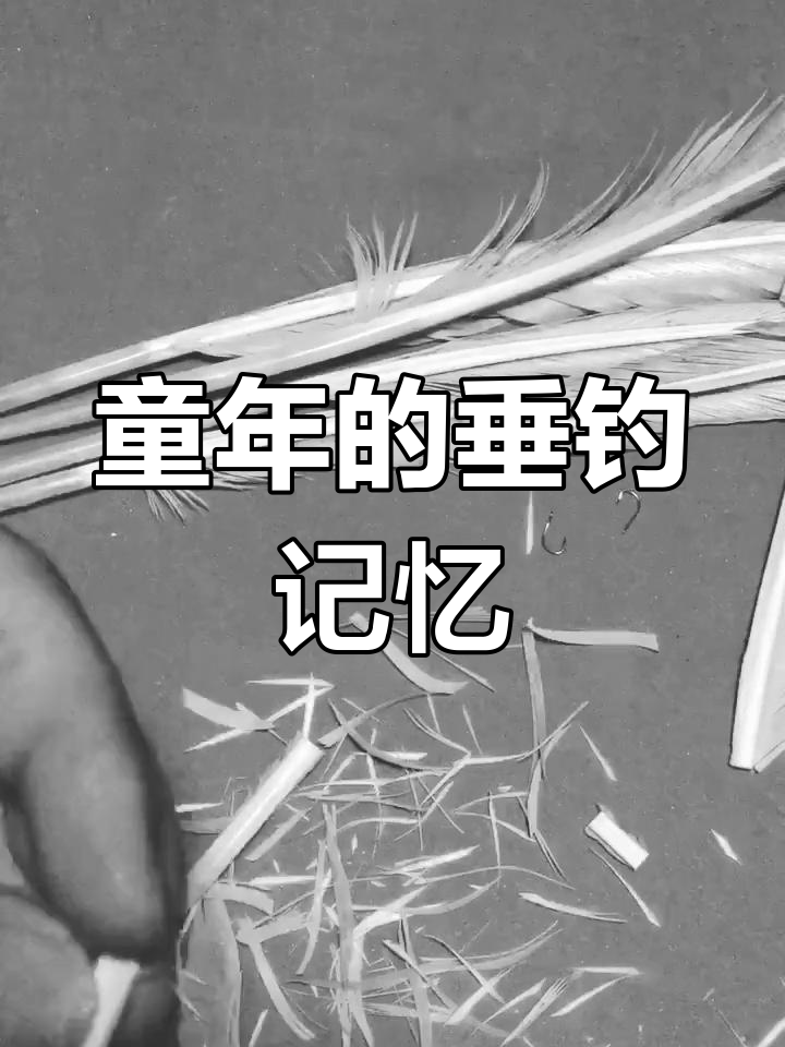 鹅毛鱼漂,承载了多少童年回忆?你还记得吗?