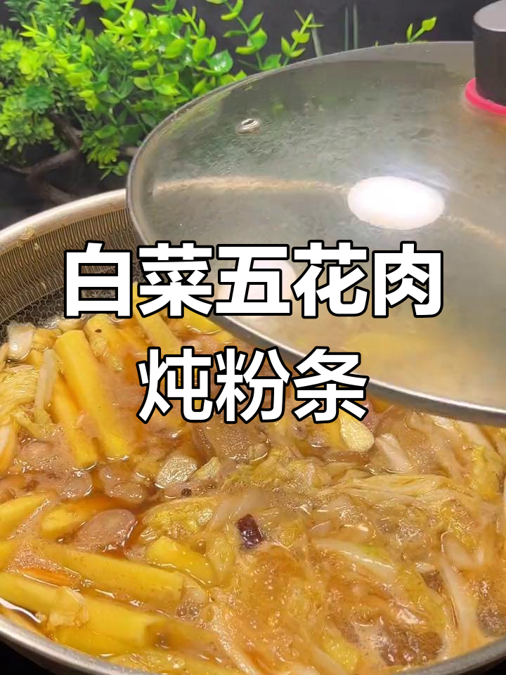 五花肉白菜炖粉条,劲道爽滑超下饭!