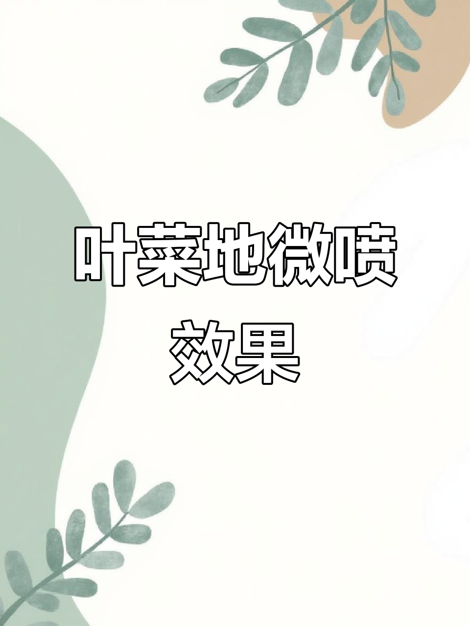叶菜地微喷安装效果展示，5*5米株行距下的喷水表现