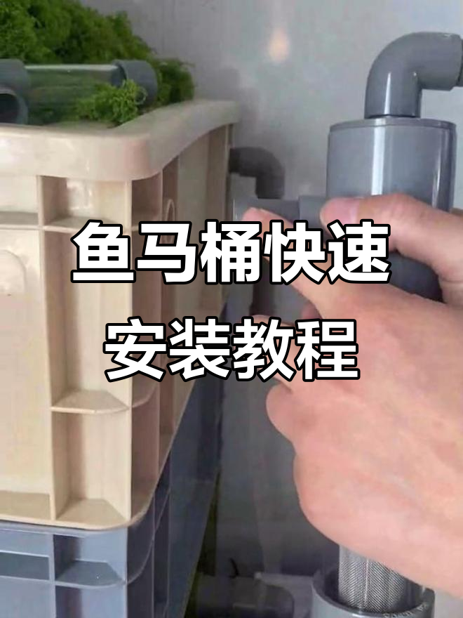 鱼马桶安装全流程，简单几步搞定排污问题