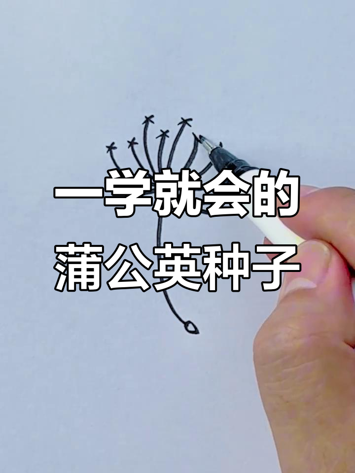 蒲公英种子飞行简笔画,轻松学会画伞状种子