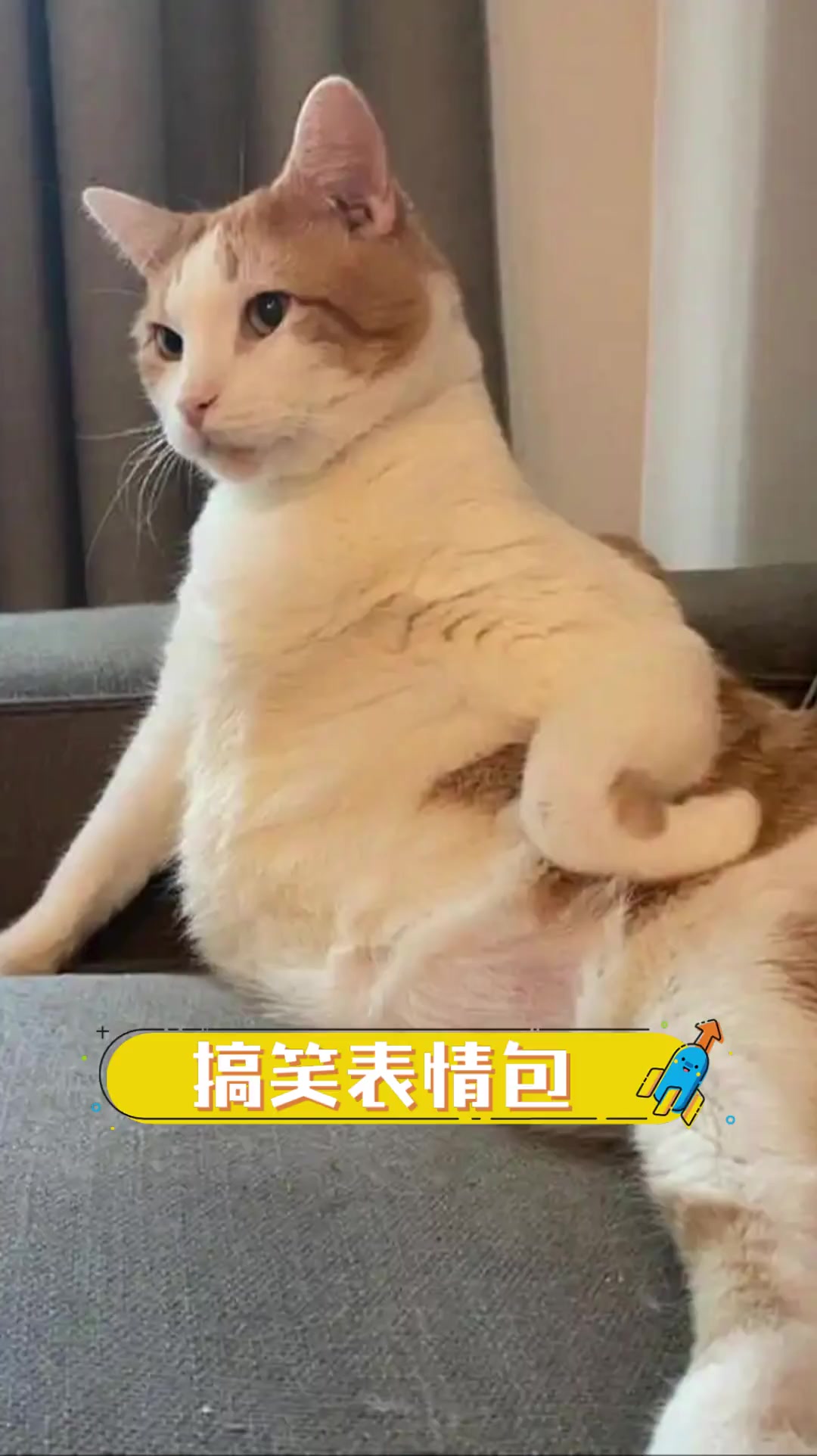 搞笑表情包