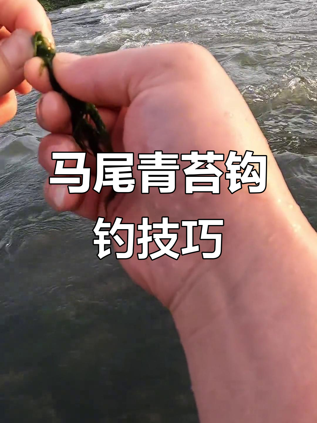 青苔挂钩钓法揭秘,轻松捕捉溪流中的马尾鱼