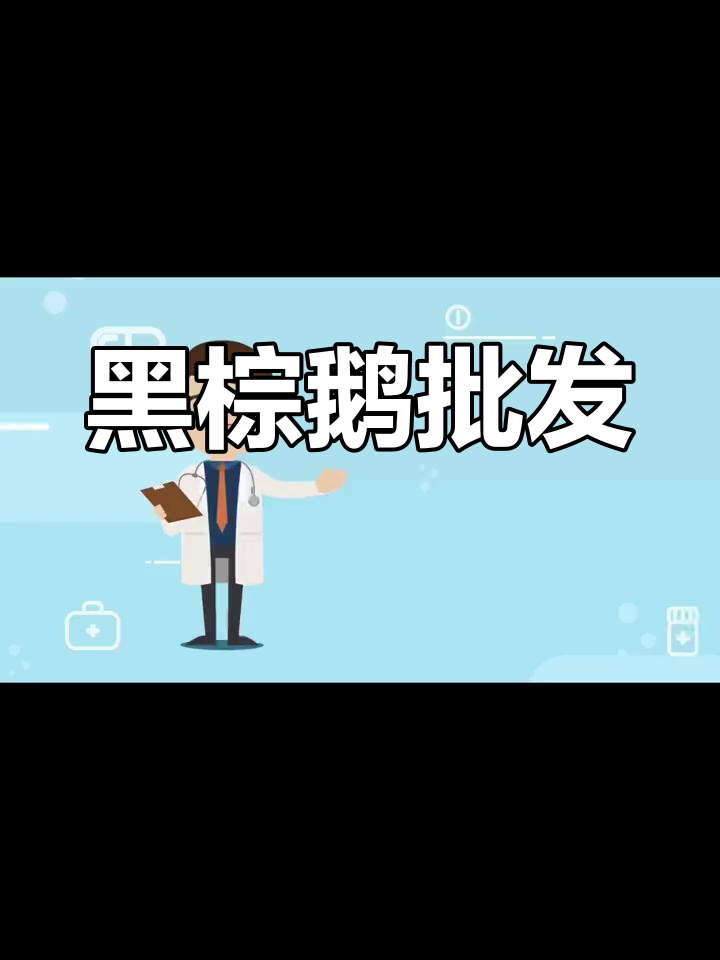 清远黑棕鹅冰鲜发货,全国配送