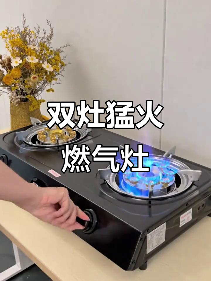 太太乐双灶液化气猛火燃气灶,农村家庭必备强力烹饪工具