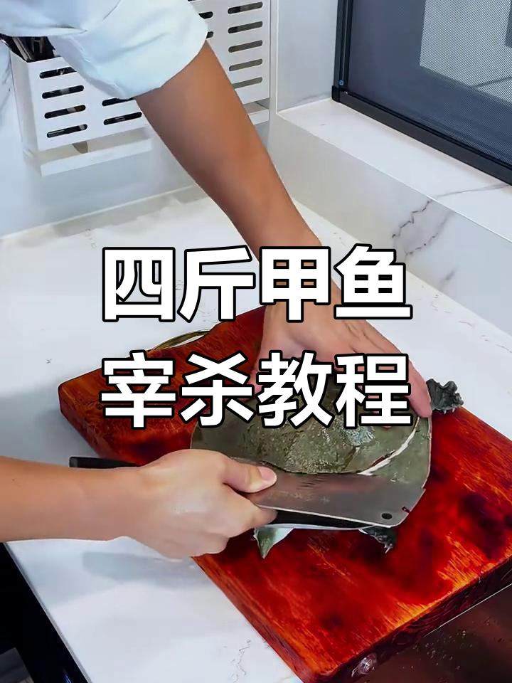 甲鱼宰杀全过程,四斤大甲鱼的清洗技巧