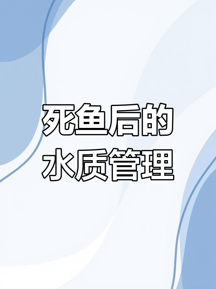 鱼缸死鱼后水质如何处理?大换水还是小调整
