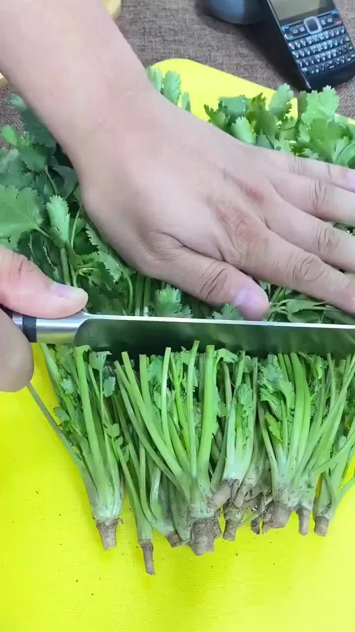 香菜这样储存,一冬天都不用买了,天天吃新鲜香菜!