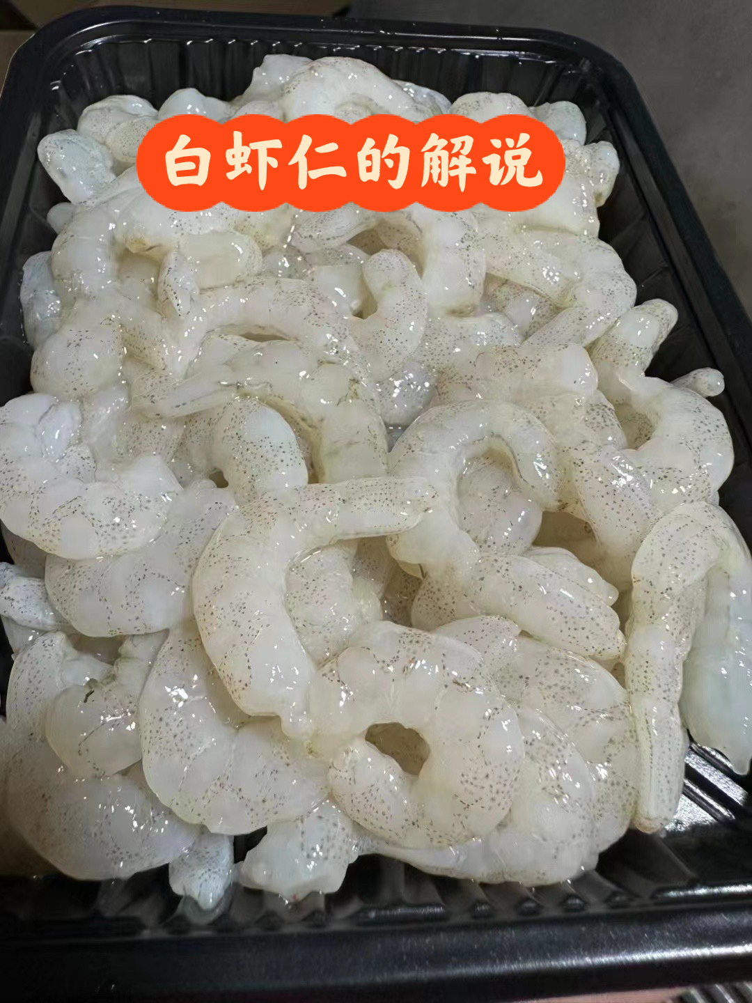 给大家讲一讲「海白虾、白虾仁」